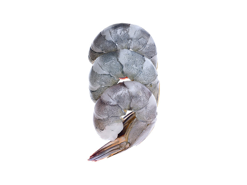 Shrimps/Vannamei o. Kopf, o. Schale 8/12 20% Glasur
